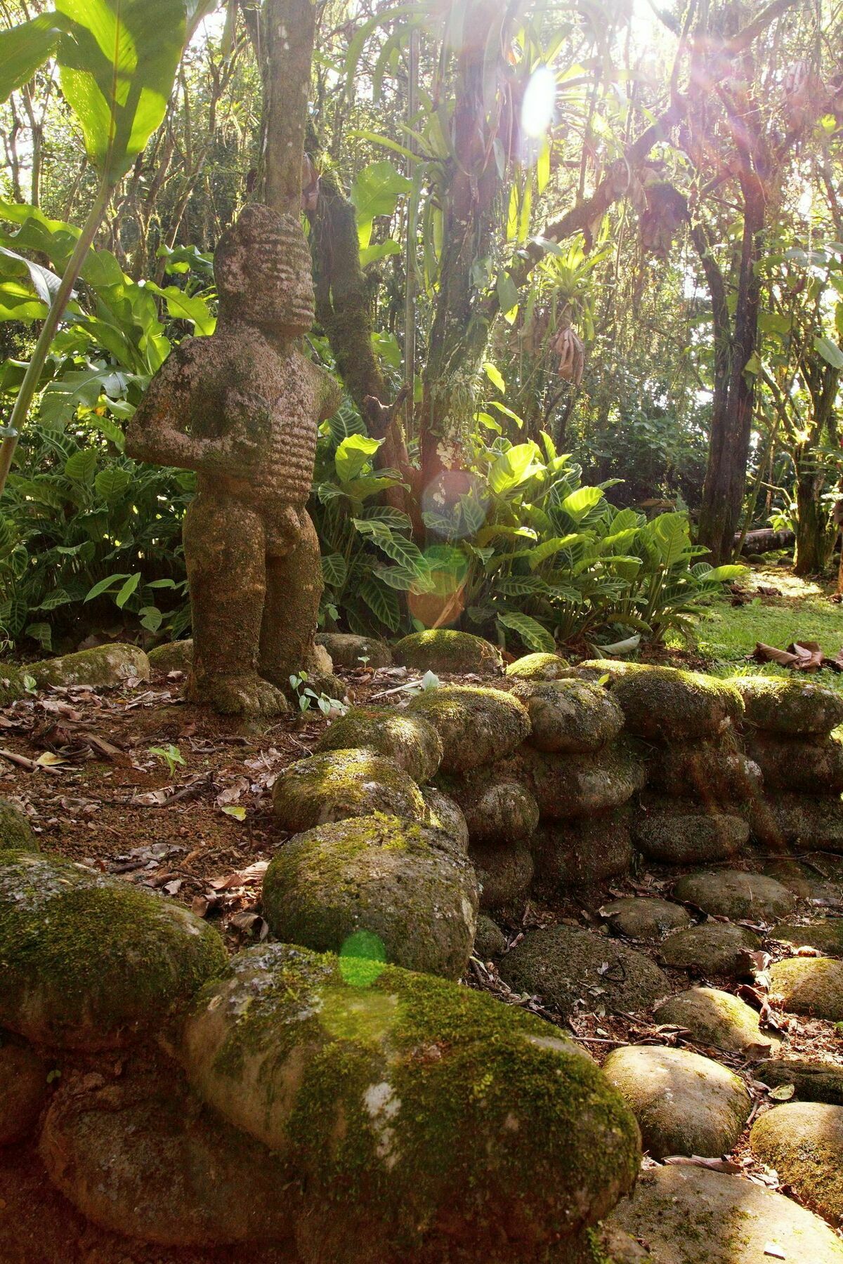 Sarapiquis Rainforest Lodge Exterior foto
